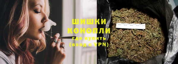 гидра Абаза