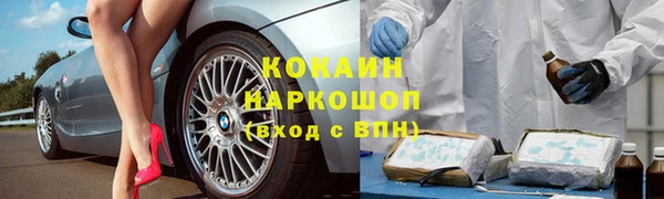 гидра Абаза