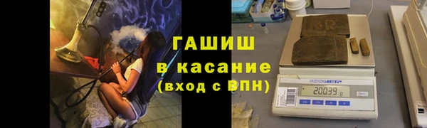 гидра Абаза