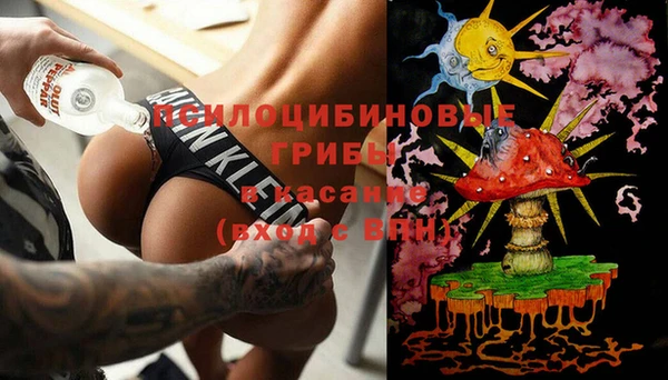 гидра Абаза