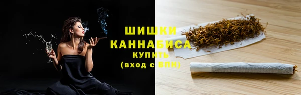 гидра Абаза