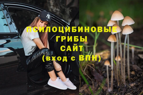 прущая мука Абинск