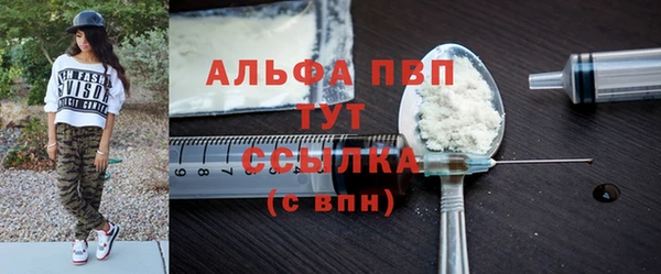 гидра Абаза