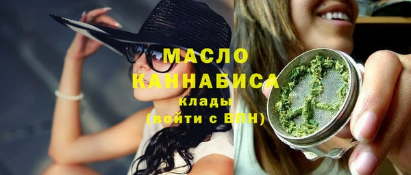 гидра Абаза